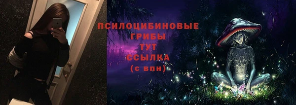 ПСИЛОЦИБИНОВЫЕ ГРИБЫ Арсеньев
