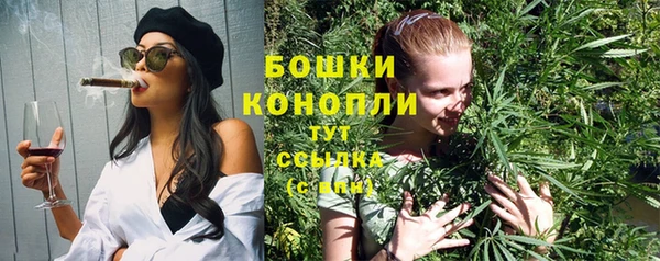 ПСИЛОЦИБИНОВЫЕ ГРИБЫ Арсеньев