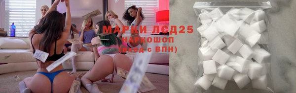 ПСИЛОЦИБИНОВЫЕ ГРИБЫ Арсеньев