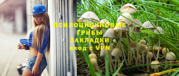 тгк Армянск