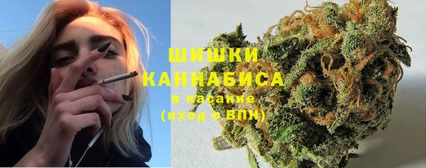ПСИЛОЦИБИНОВЫЕ ГРИБЫ Арсеньев