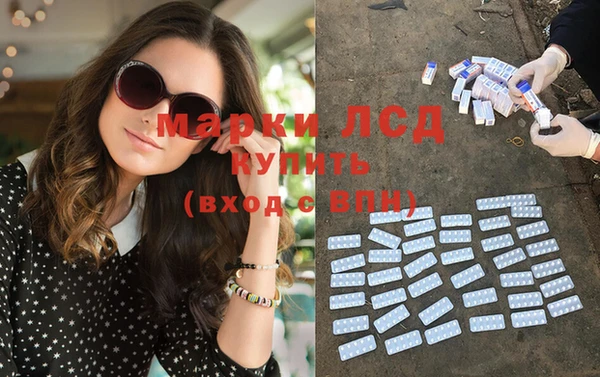 ПСИЛОЦИБИНОВЫЕ ГРИБЫ Арсеньев