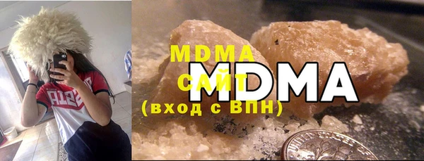 индика Алексин